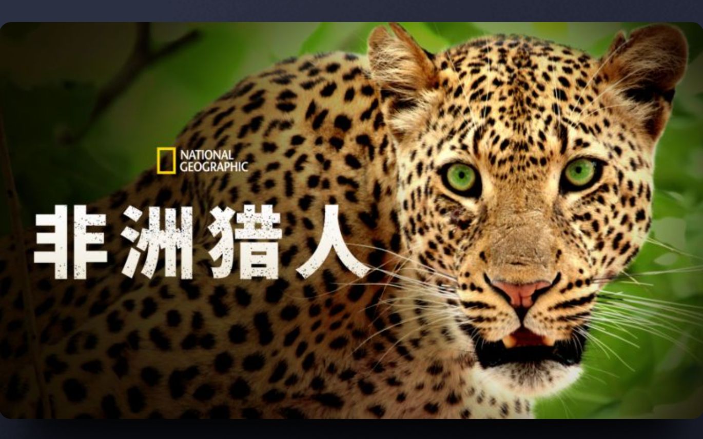 非洲猎人 第二季 Africa's Hunters哔哩哔哩bilibili