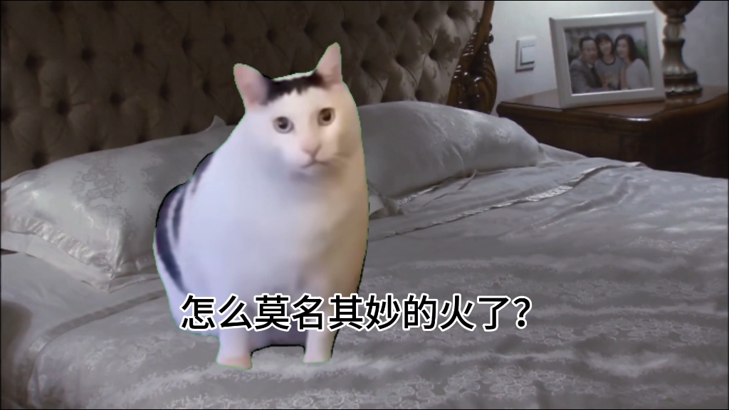 【猫meme】我火了之后的心理状态