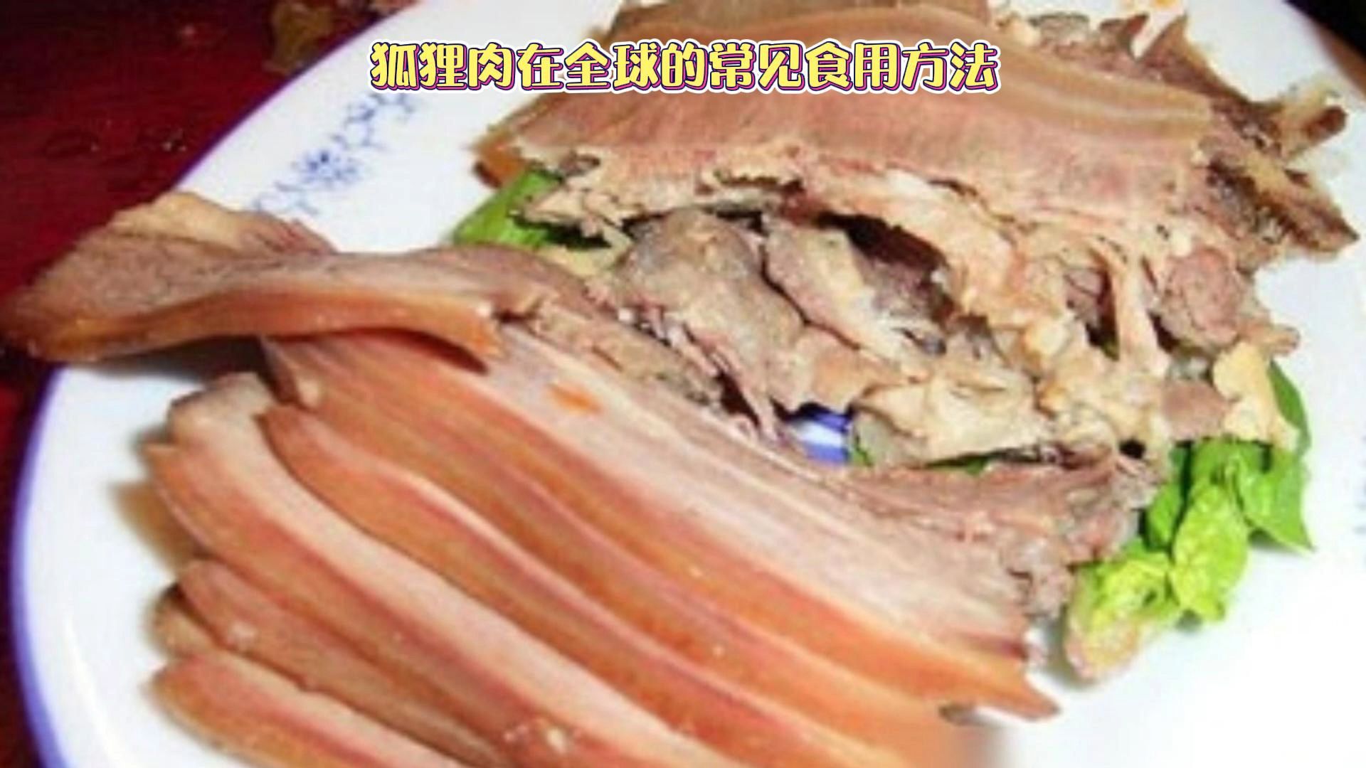 狐狸肉在全球的常见食用方法,食用特色哔哩哔哩bilibili