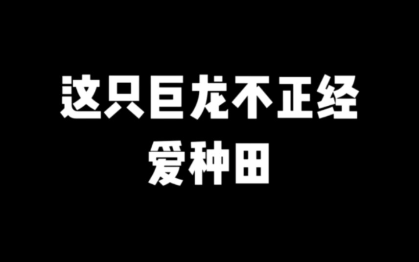 不怕巨龙爱财宝,就怕巨龙爱种田!#小说推荐#爽文#网文推荐哔哩哔哩bilibili