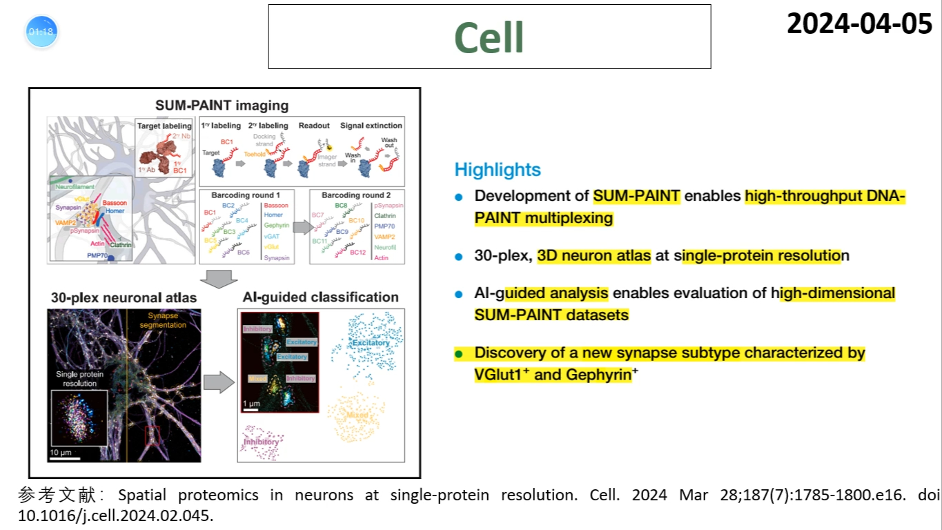 Cell—神经科学技术新突破:科学家开发空间蛋白质组学技术以解析神经元蛋白质表达的空间分布特征哔哩哔哩bilibili