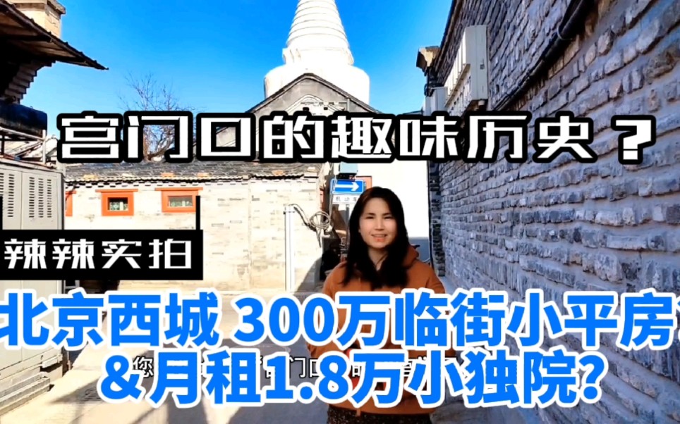 西城宫门口史从何来?这边300万临街平房和月租1.8万独院什么样?哔哩哔哩bilibili