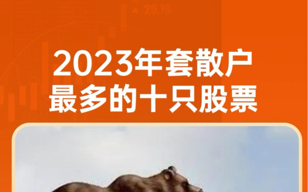 2023年套散户最多的股票哔哩哔哩bilibili