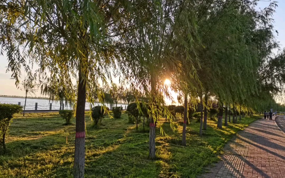 【bgm:mic男团赵泳鑫-慢镜头】身边风景不错拍个照片记录一下