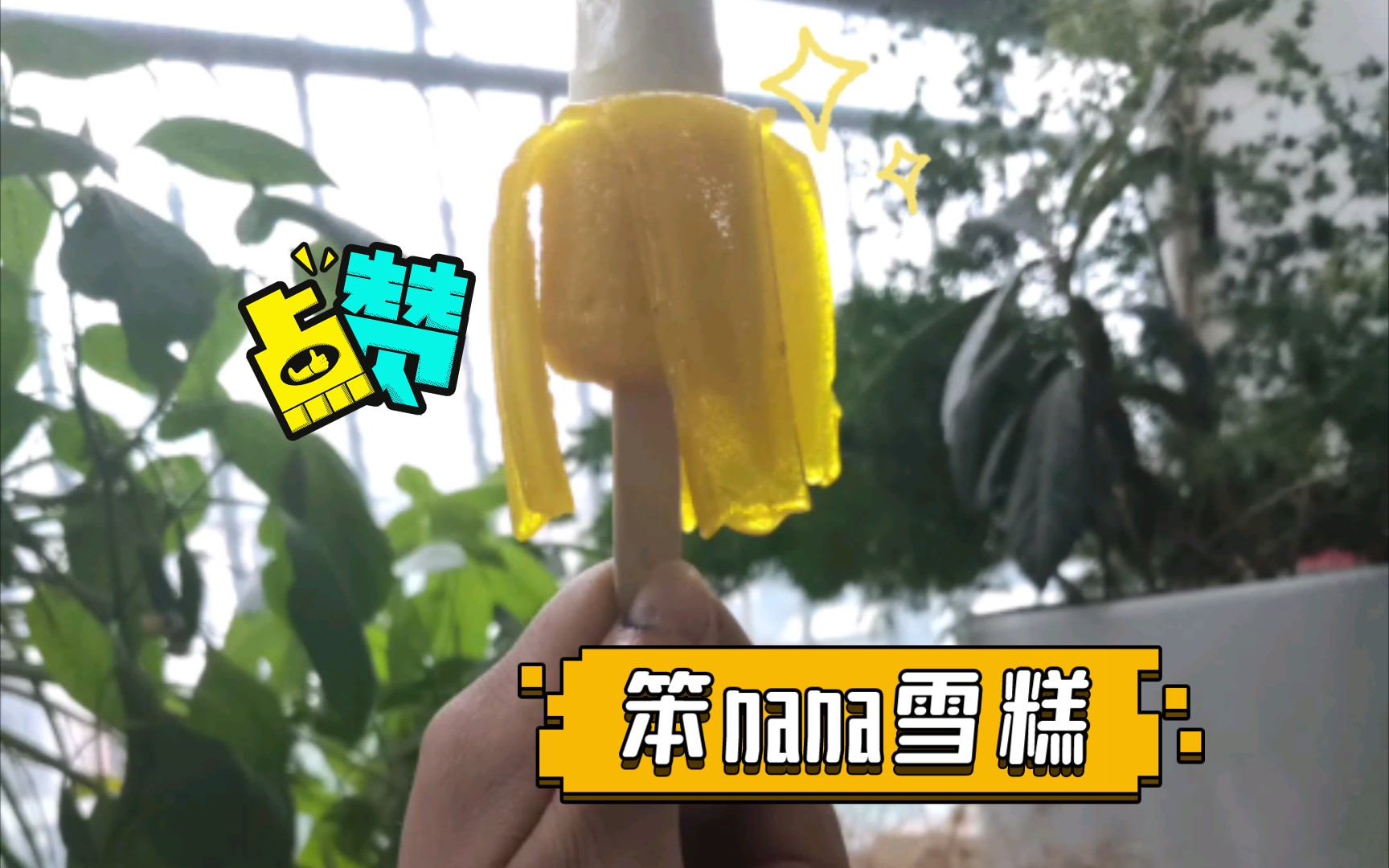 笨nana雪糕哔哩哔哩bilibili第一视角