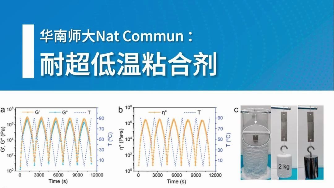 华南师范大学:无溶剂加工的耐超低温粘合剂哔哩哔哩bilibili