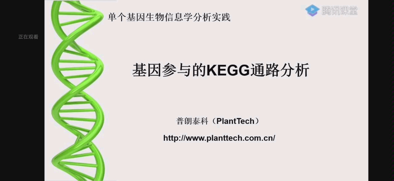 kegg通路分析哔哩哔哩bilibili