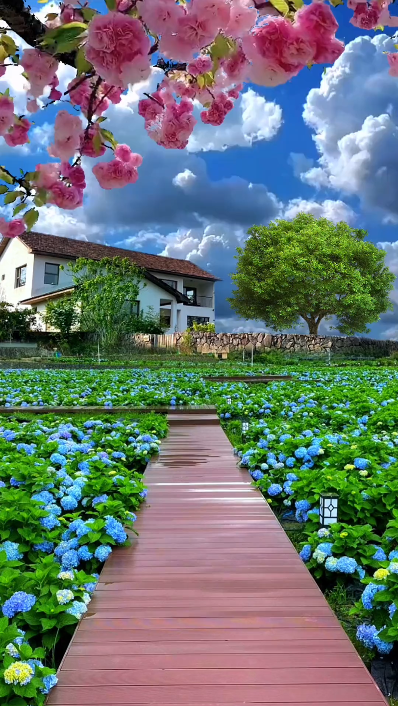 努力走着走着就会有温柔的着落……#治愈系风景 #唯美意境