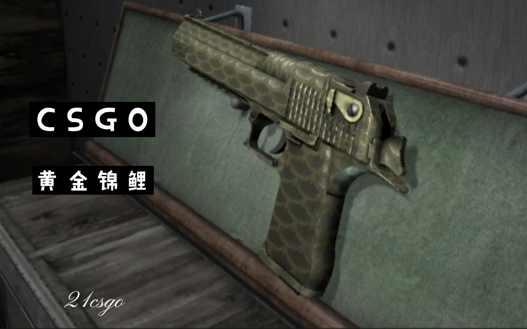 csgo黄金锦鲤