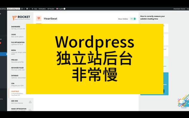 Wordpress独立站后台非常慢如何解决?哔哩哔哩bilibili