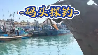 码头探钓，为了扣点零花钱，直奔码头，竟然发现好多钓鱼人。。