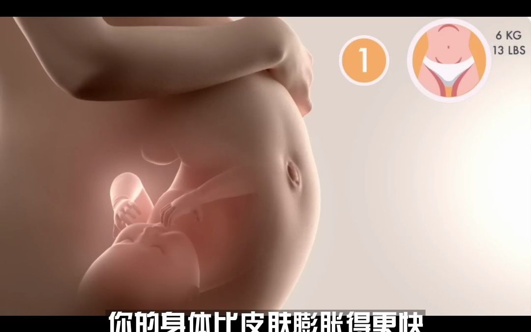 妊娠中期3D动画怀孕指南,从第14周持续到第27周,怀孕的第二个三个月通常被认为是怀孕的最佳阶段.对于许多人来说,孕早期的孕吐和疲劳在此时消失...