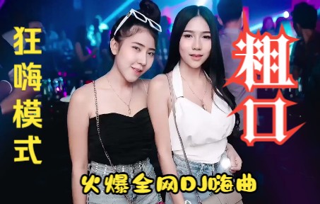 [图]不爱莫相伤 2022最新火爆上头嗨曲 粗口 车载DJ酒吧夜店美女蹦迪洗脑神曲