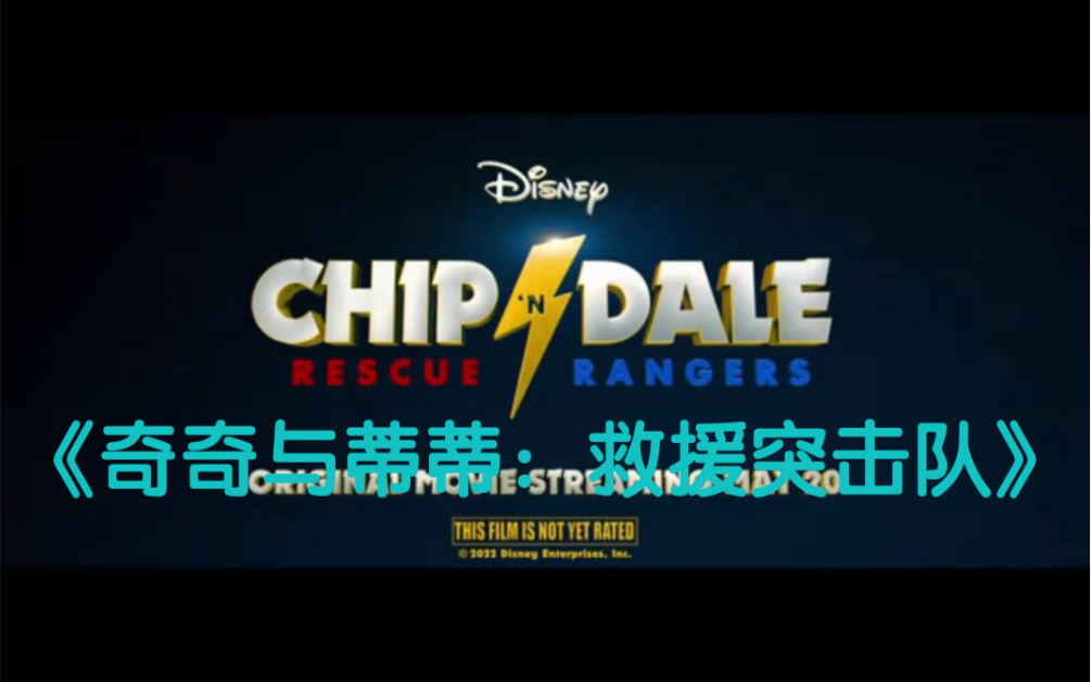 《奇奇与蒂蒂:救援突击队》