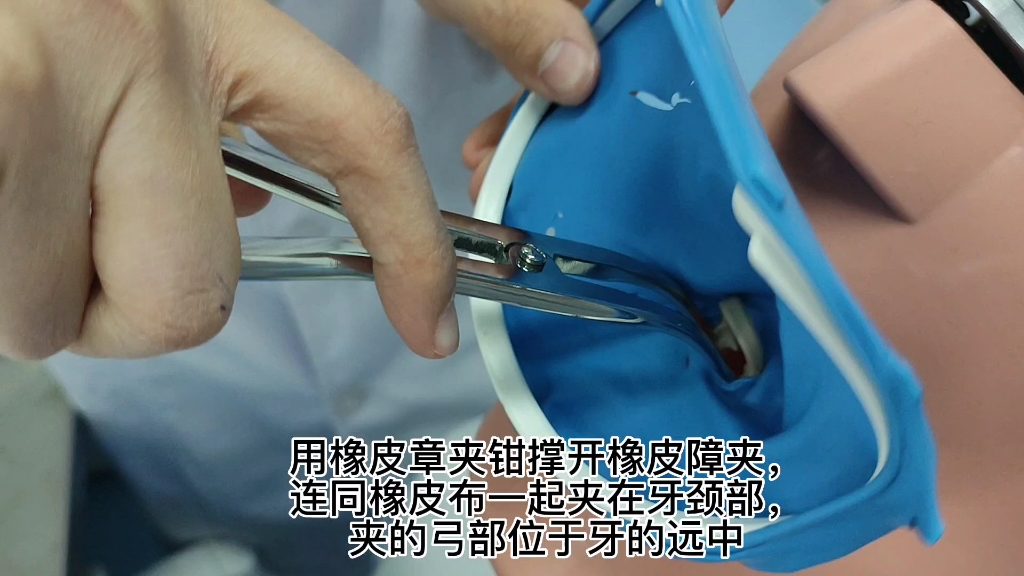 科尔橡皮障操作练习