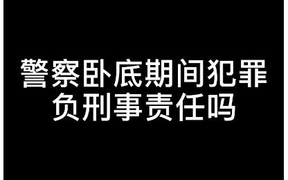 【硬核普法】警察卧底期间犯罪,需要负刑事责任吗?哔哩哔哩bilibili