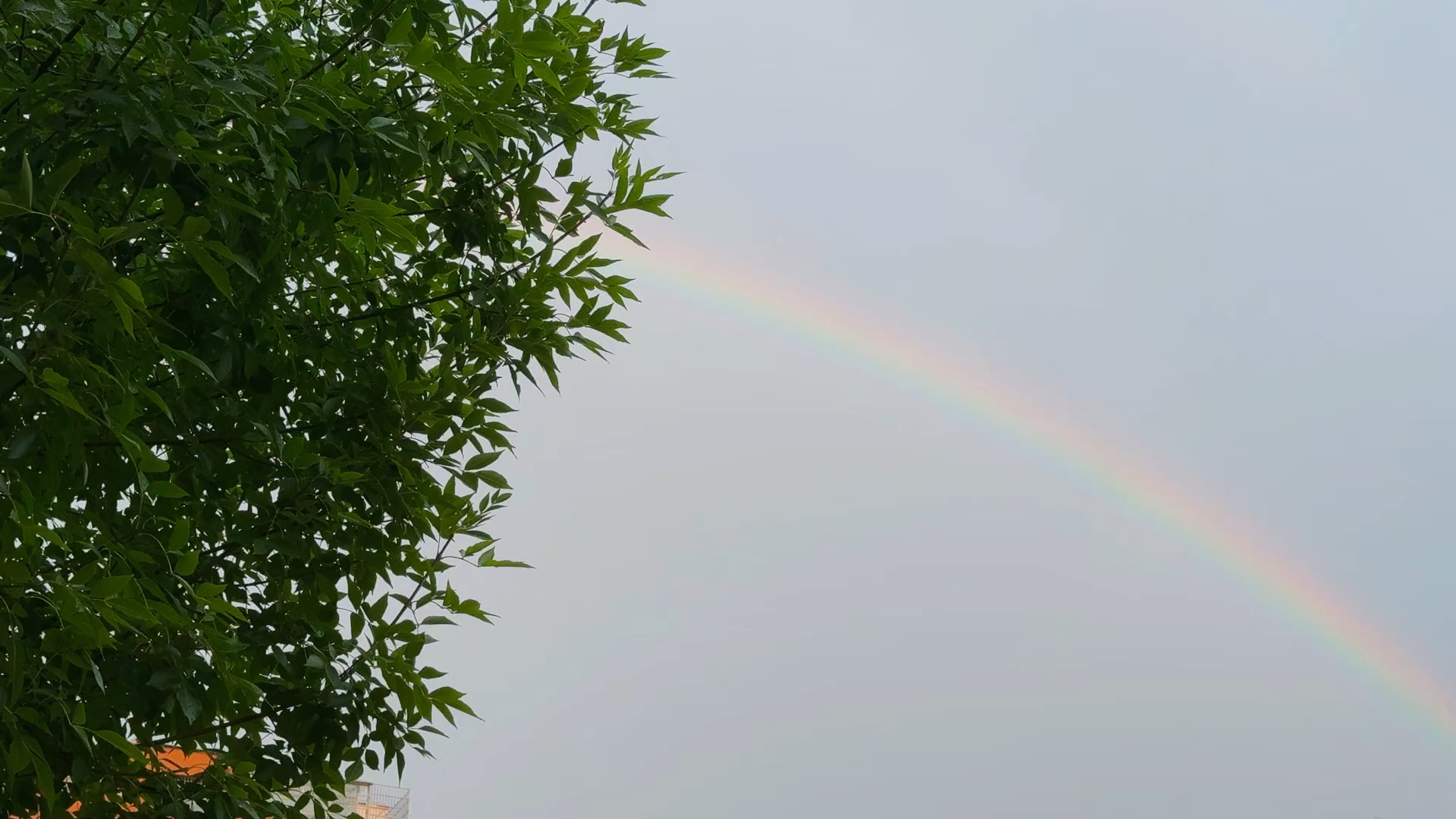 看雨后彩虹!晚霞、夕阳、彩虹,在雨后相遇,天然浑成一幅淮阳末夏最绝妙的图画……#一些属于夏天的光影 #淮阳文旅 #行走河南读懂中国 #治愈系风景 ...