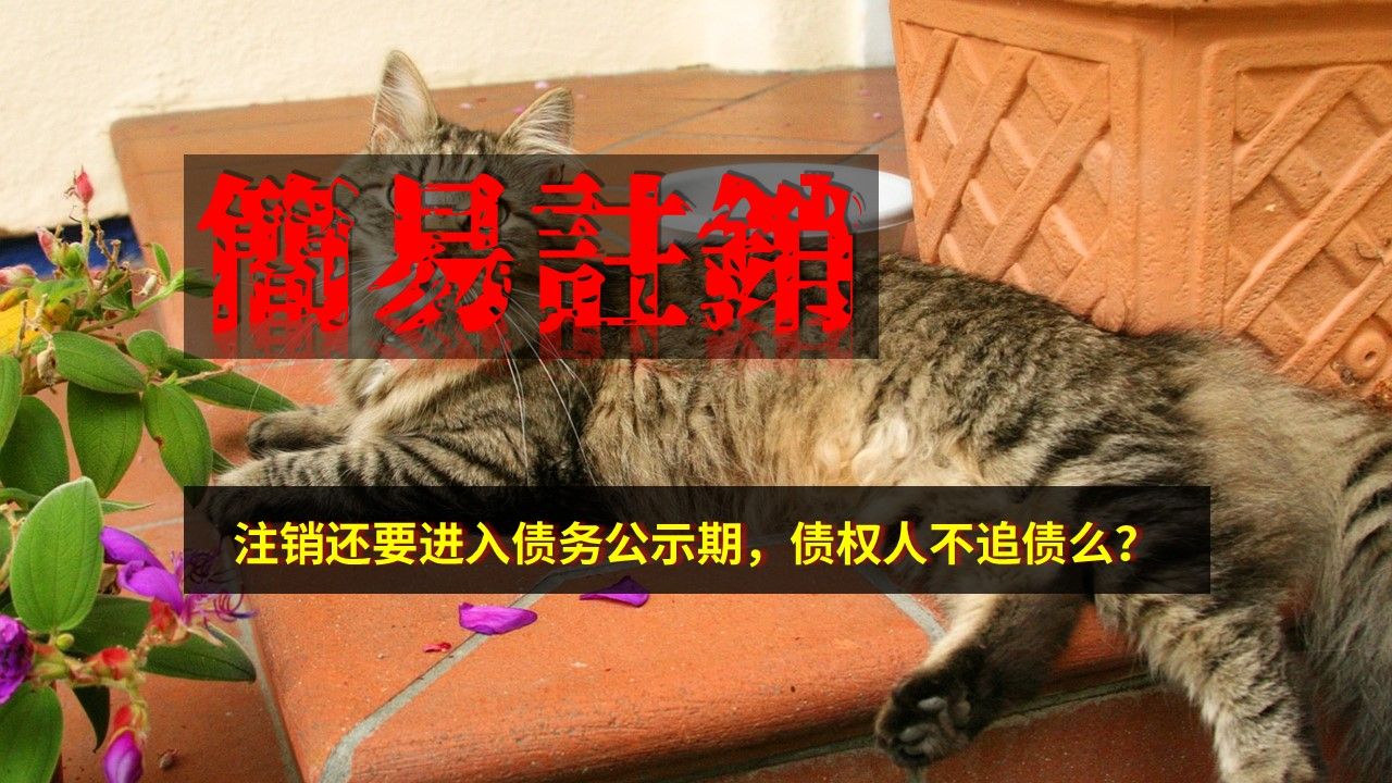 注销还要进入债务公示期,债权人不追债么?哔哩哔哩bilibili