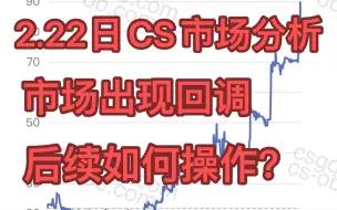 Download Video: 市场出现回调，后续如何操作？ 2.22日CS市场分析