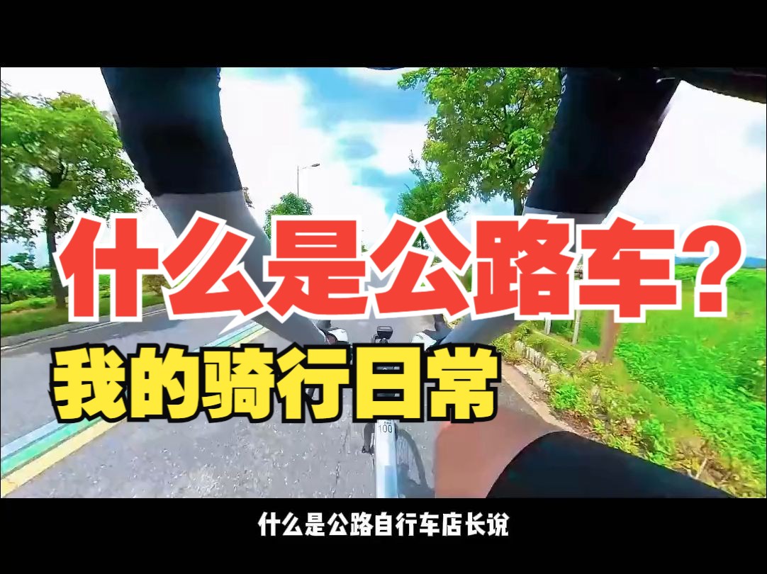 什么是公路车?哔哩哔哩bilibili