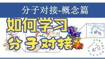 分子对接（纯干货)理论篇