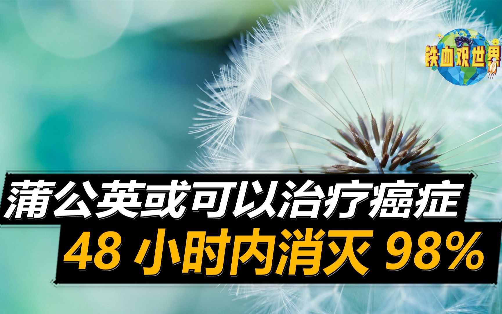 蒲公英能在48小时内,顺利消灭98%癌细胞,对人体却并不适用?哔哩哔哩bilibili