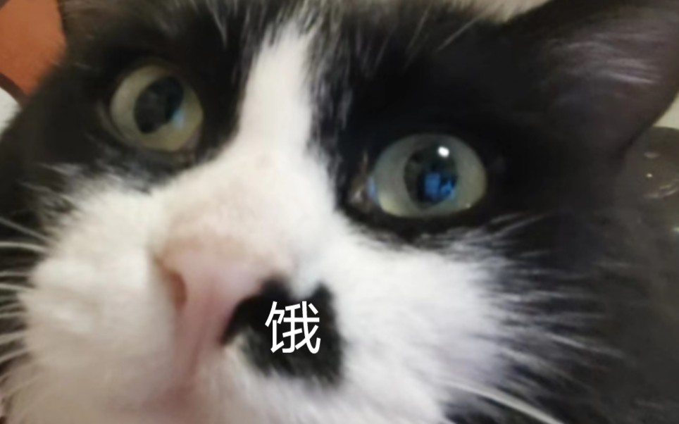 嘎嘣脆,鸡肉味
