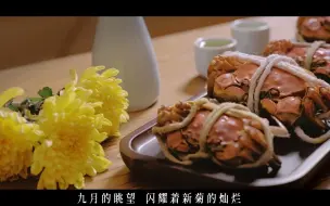 Download Video: 【黄山】重阳节