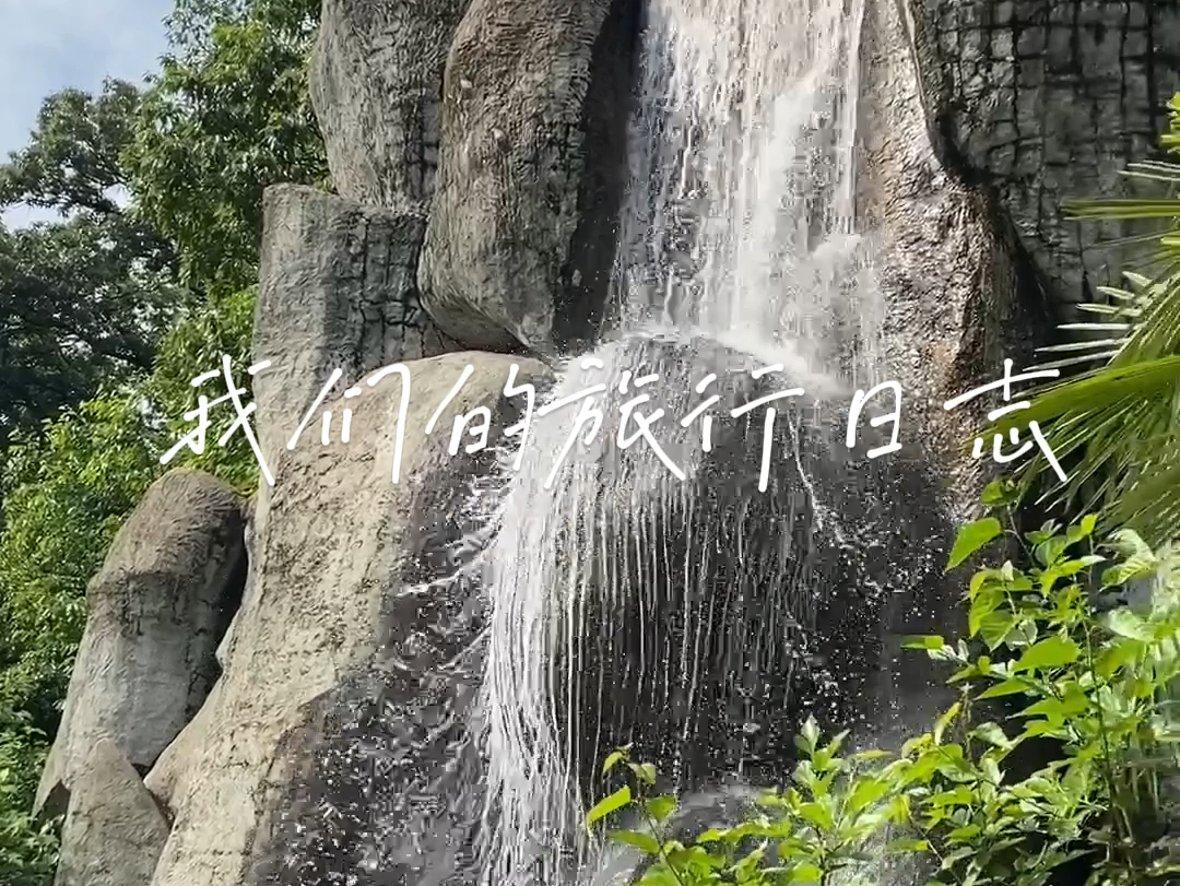 20240429 旅行记录vlog | 信阳篇哔哩哔哩bilibili