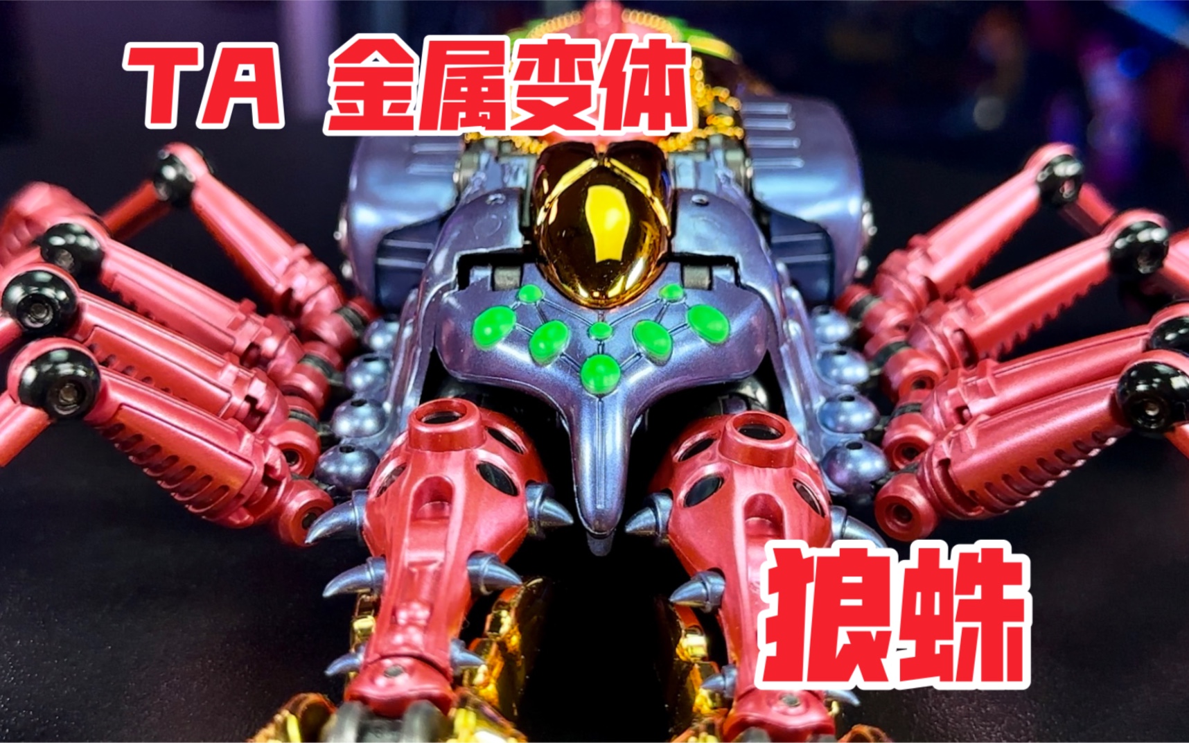 【秉贵の奇怪解说】变形金刚 超能勇士 ta 金属变体 狼蛛
