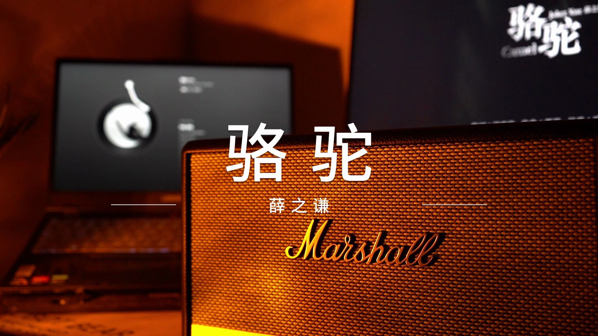 《骆驼》—薛之谦 | 马歇尔stammore2音响试听