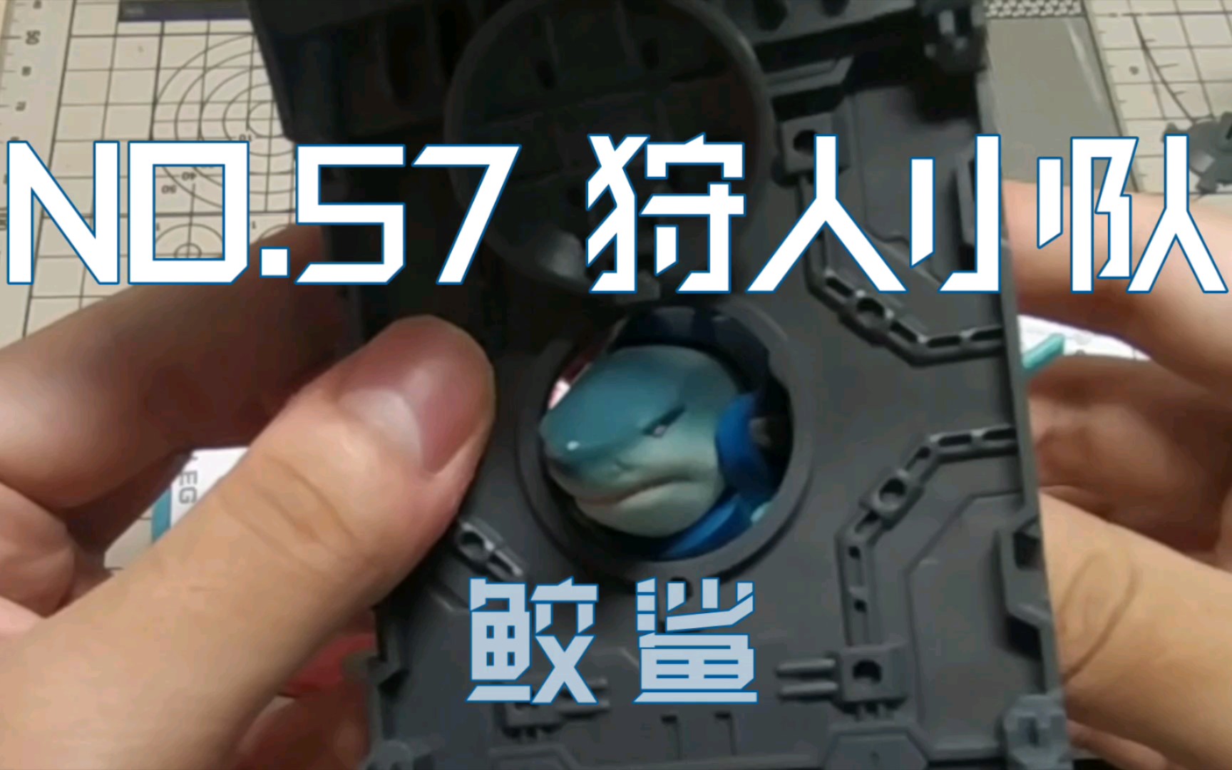 no.57 狩人小队 鲛鲨 不错不错不错不错不错不错不错