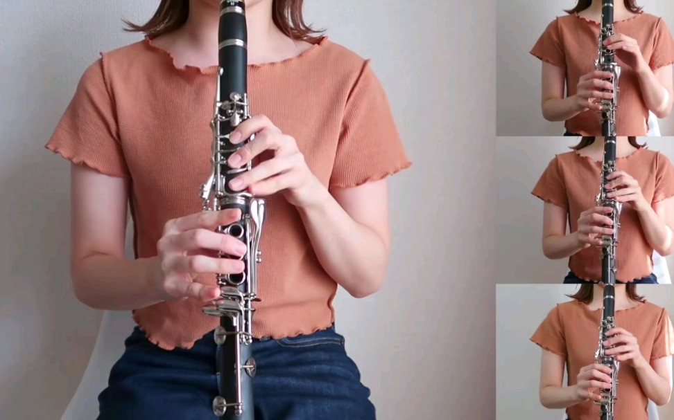 【单簧管】野蜂飞舞(两万日元的c调单簧管)