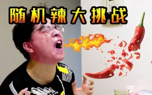 Download Video: 【新奇5】随机辣大挑战，熟食店老板要谋杀我？