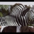 Louis Vuitton 路易威登 2017春夏男士系列宣传片 I