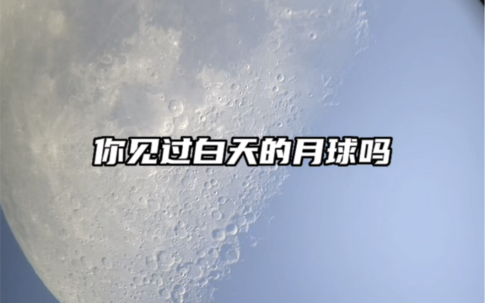 这或许是你第一次见到白天时的高清月球表面,你知道为什么有时月亮会在白天出现?哔哩哔哩bilibili