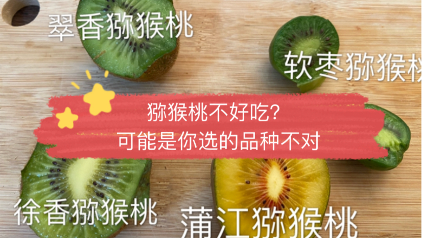 猕猴桃不好吃?可能是你选的品种不对!测评市面上好吃的猕猴桃哔哩哔哩bilibili