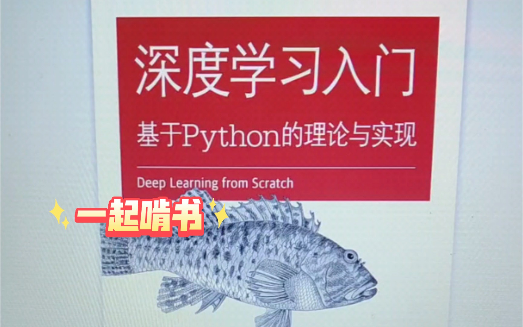 一起啃书—深度学习入门:基于Python的理论与实现(鱼书)哔哩哔哩bilibili