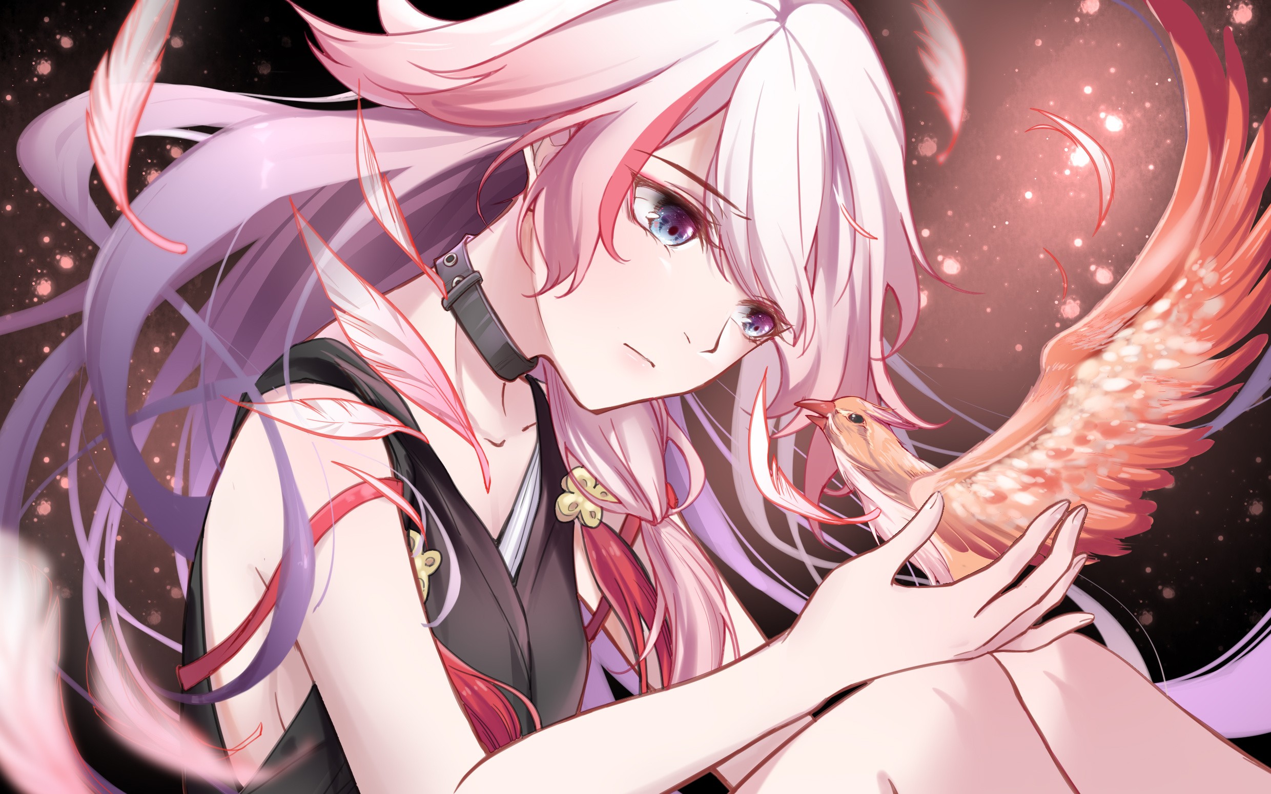 【崩坏三】白夜·龙之介强无敌!