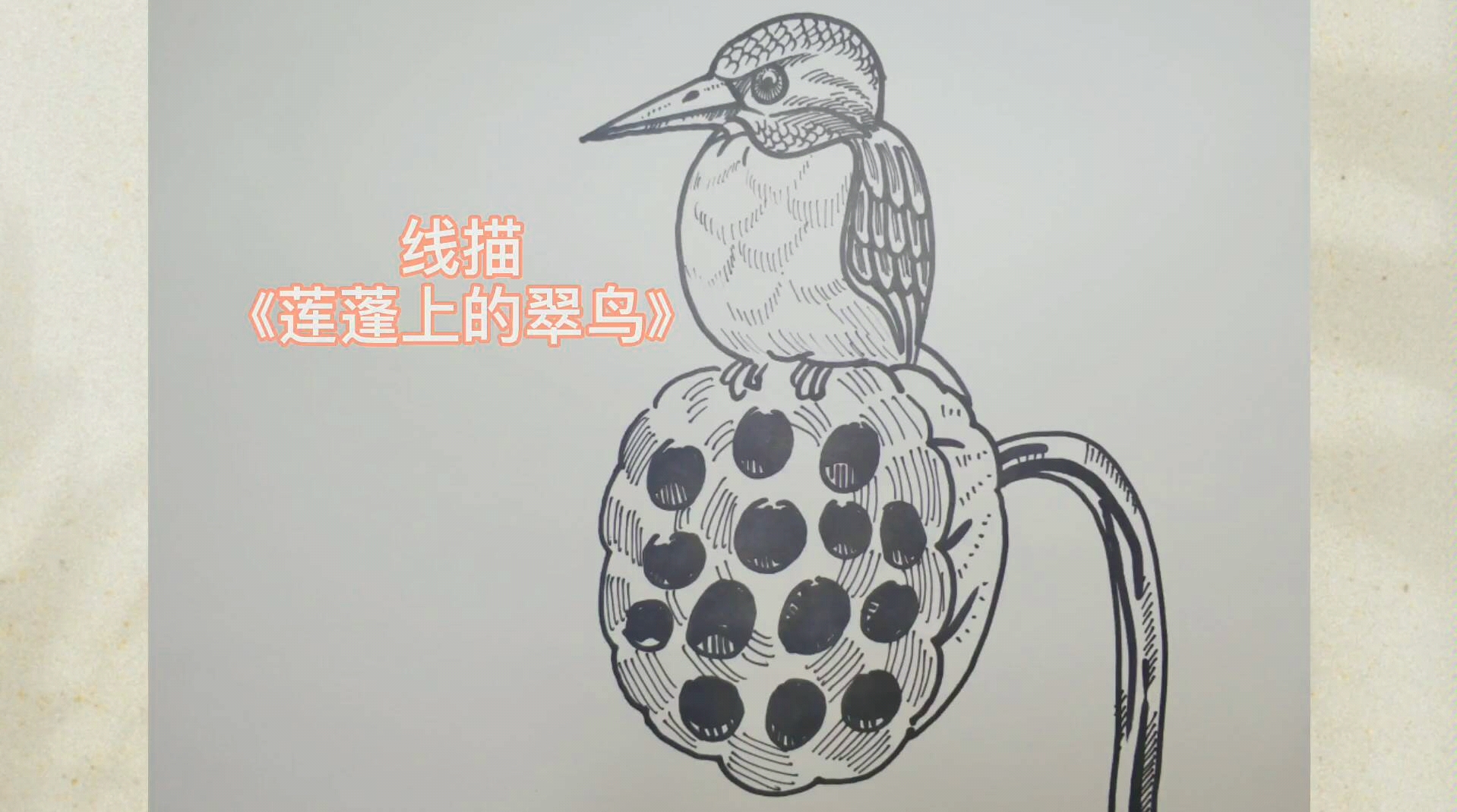 【簡筆畫】線描翠鳥.簡單美,輕鬆畫,就在小灰鴨的雜貨鋪