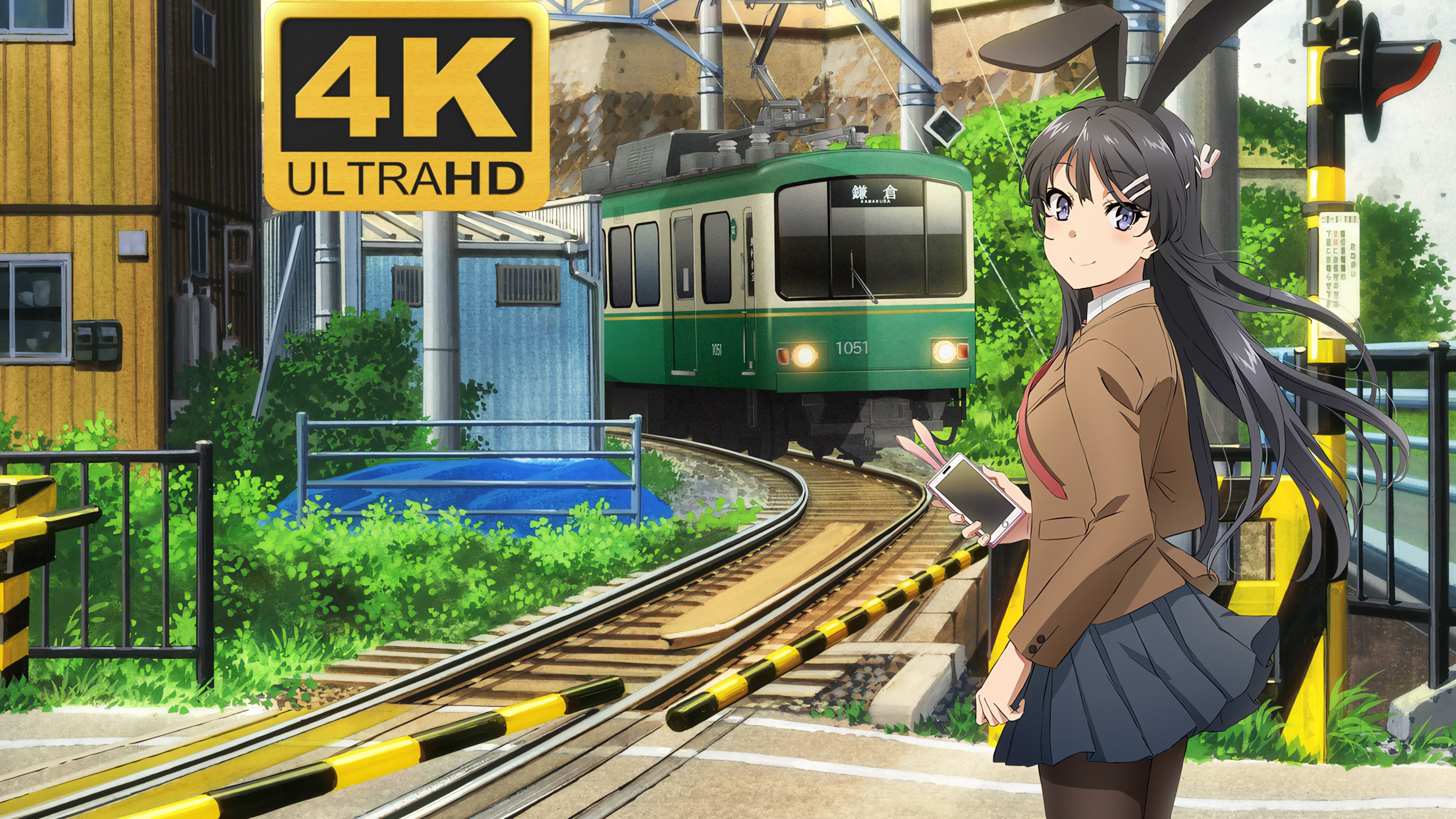 [4k/bd超分/资源分享] 青春猪头少年全系列