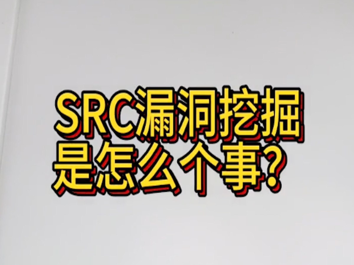 src漏洞挖掘是个啥?哔哩哔哩bilibili