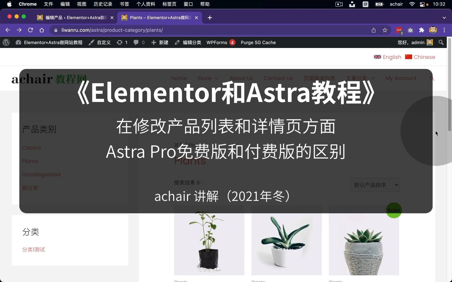 Astra Pro免费版和付费版的区别 (定制产品列表和详情页)哔哩哔哩bilibili