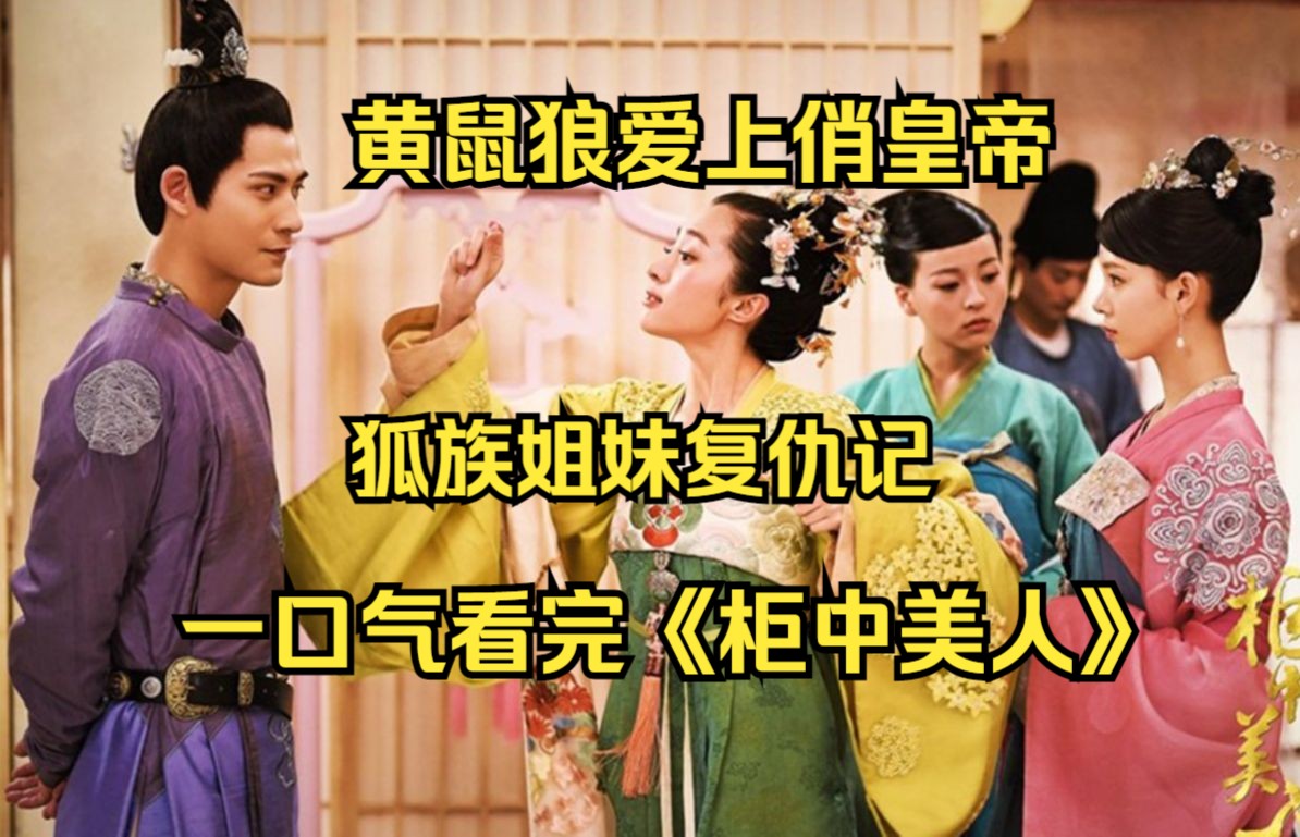 一口气看完《柜中美人》一个动人爱情故事,帝王和黄鼬,虽殊途,愿同归!