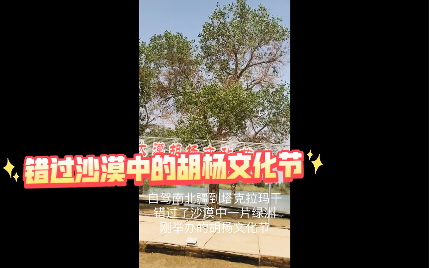 [图]自驾南北疆第37天，到塔克拉玛干沙漠的一片绿洲，刚错过了沙漠胡杨文化节