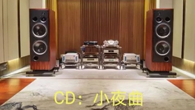 Dsdac1 0 与文豪kalista Dreamplay One Cd 机的对比 魔鬼测颤音 Dsdac1 0 哔哩哔哩 つロ干杯 Bilibili