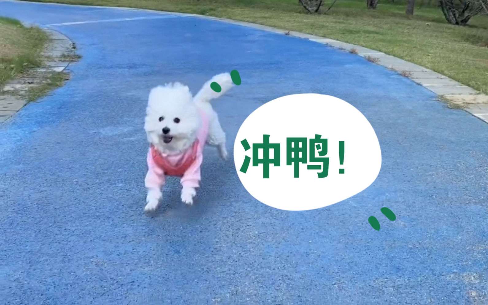 [图]上辈子是个牧羊犬吧！