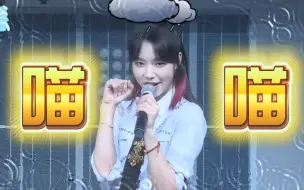 Descargar video: 震惊！星梦剧院竟然有一只被雨淋湿的小猫！