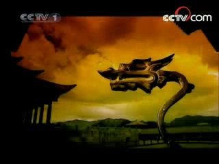 2008年2月 CCTV1综合频道广告片段3哔哩哔哩bilibili