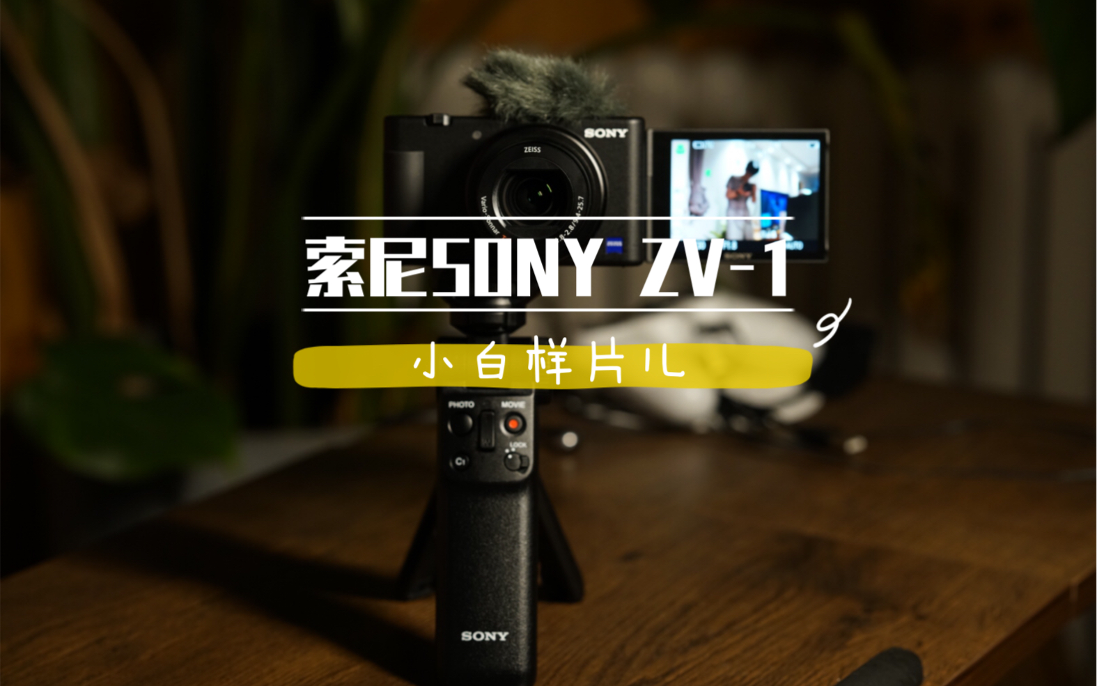 索尼sonyzv1试机样片未调色原片